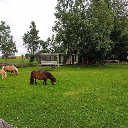 De Boerenskuur..Chalet.. Assendelft エクステリア 写真