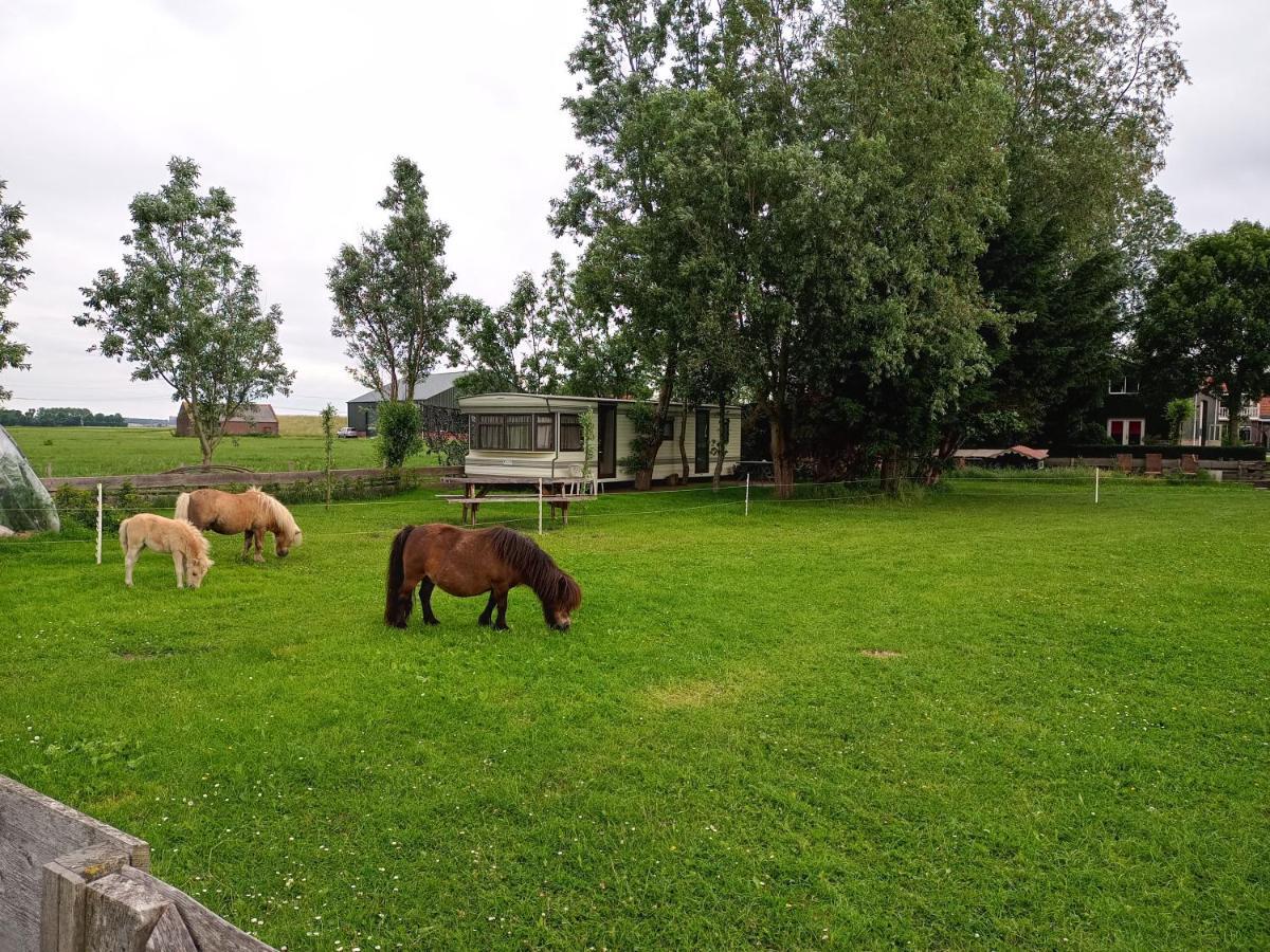 De Boerenskuur..Chalet.. Assendelft エクステリア 写真